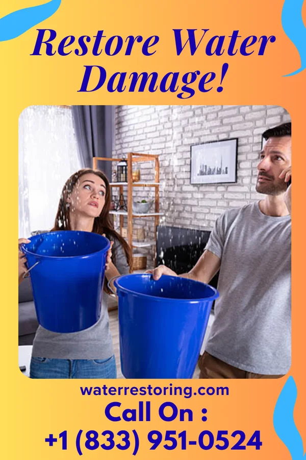 water restoration Direct Water Damage & Sons Dixon