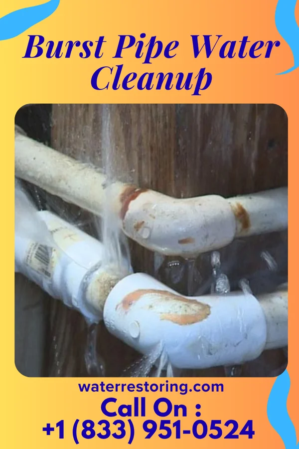 Burst Pipe Water Cleanup in Dixon, MO