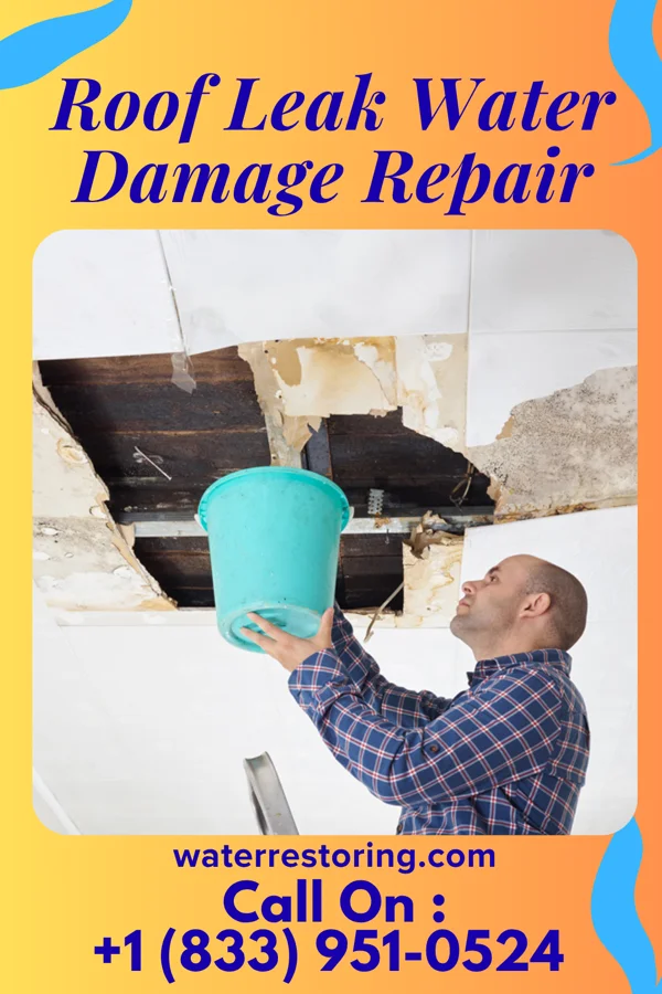 Roof Leak Water Damage Repair in Dixon, MO